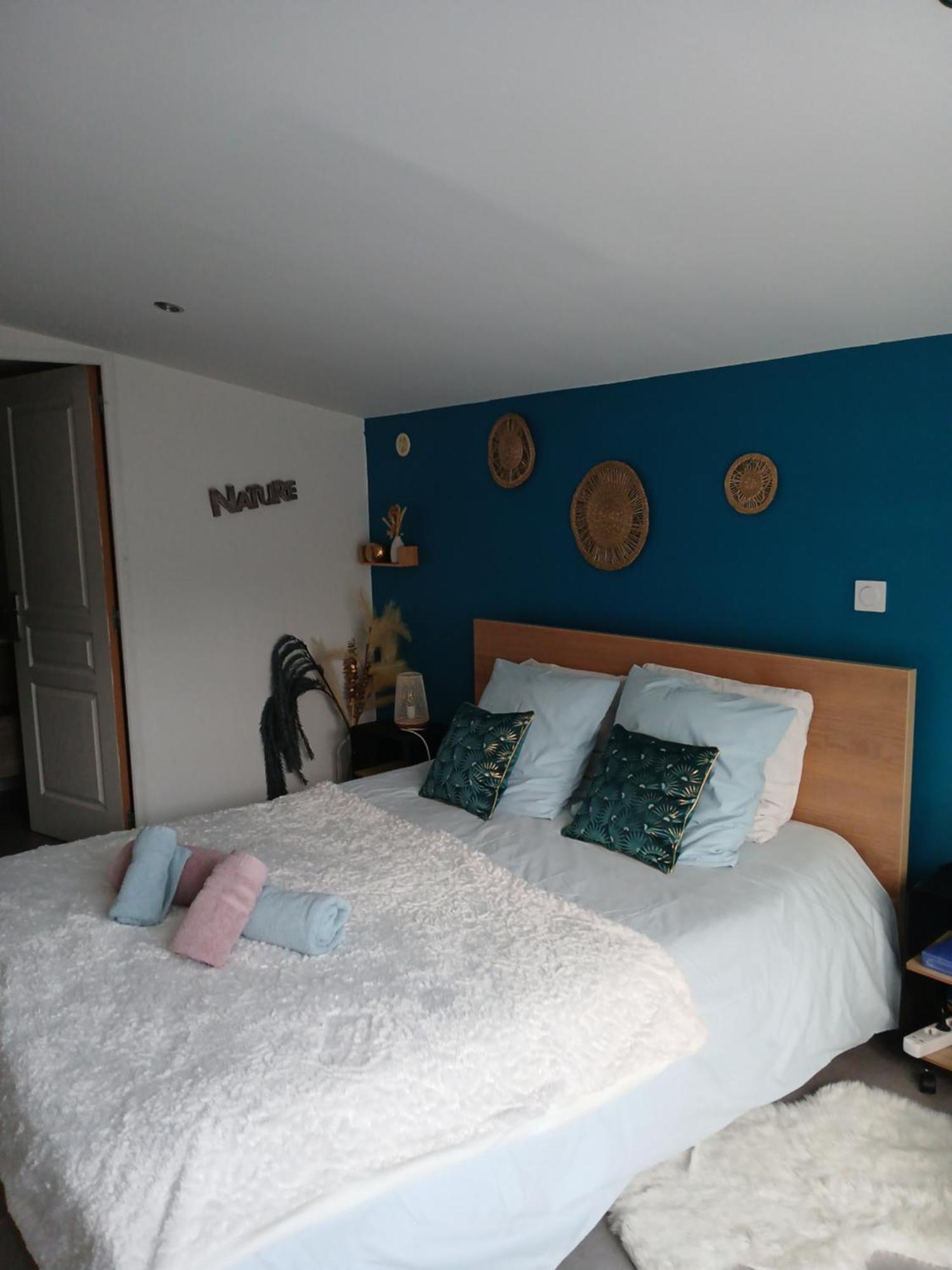 Le Cosy Cabarieu Bed & Breakfast Saint-André-de-Cubzac Стая снимка